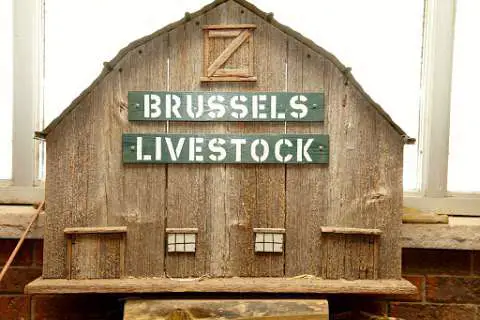Brussels Livestock